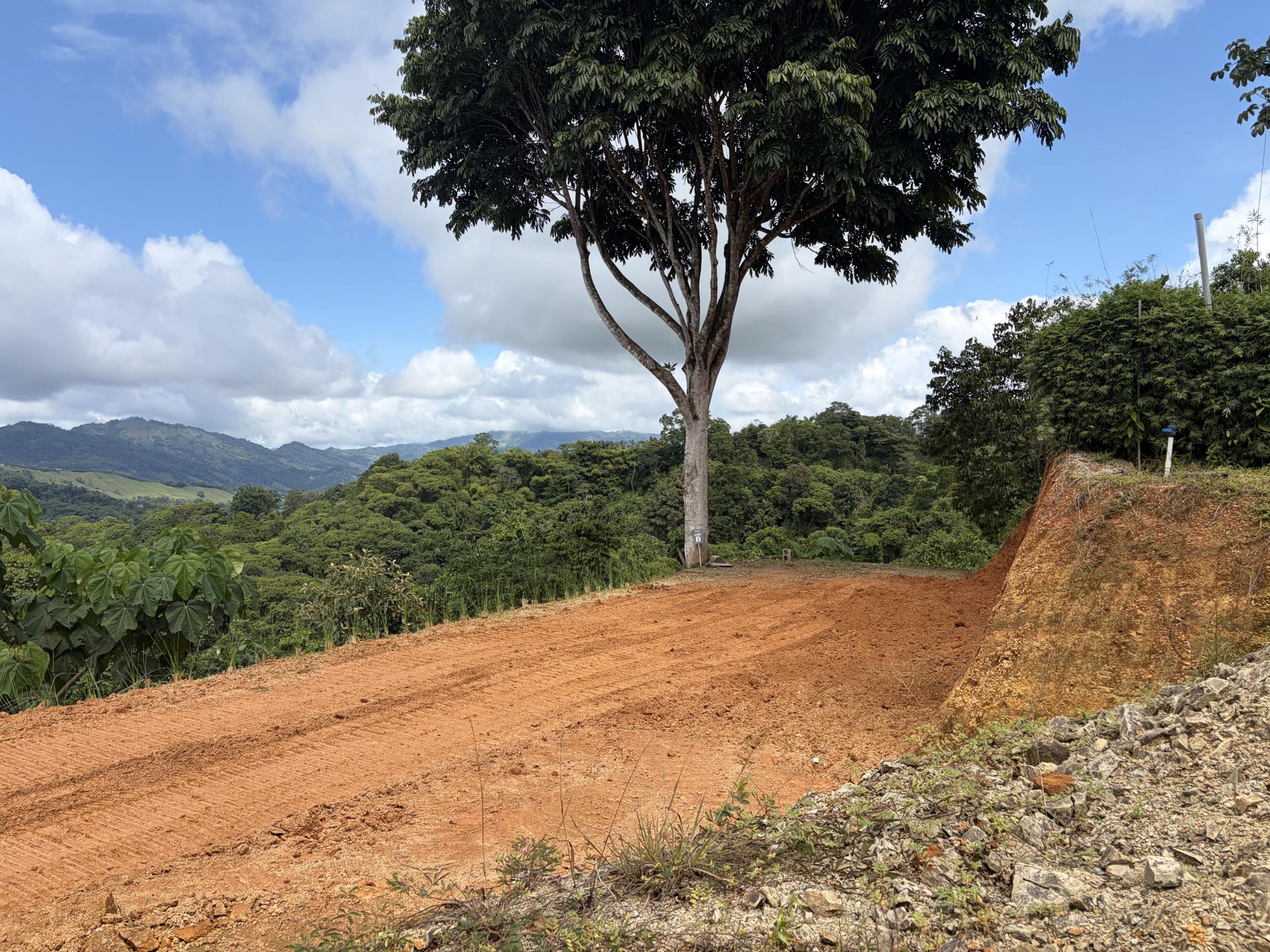 Plantel Excavation & Site Preparation – Enclave Lot B, photo 5