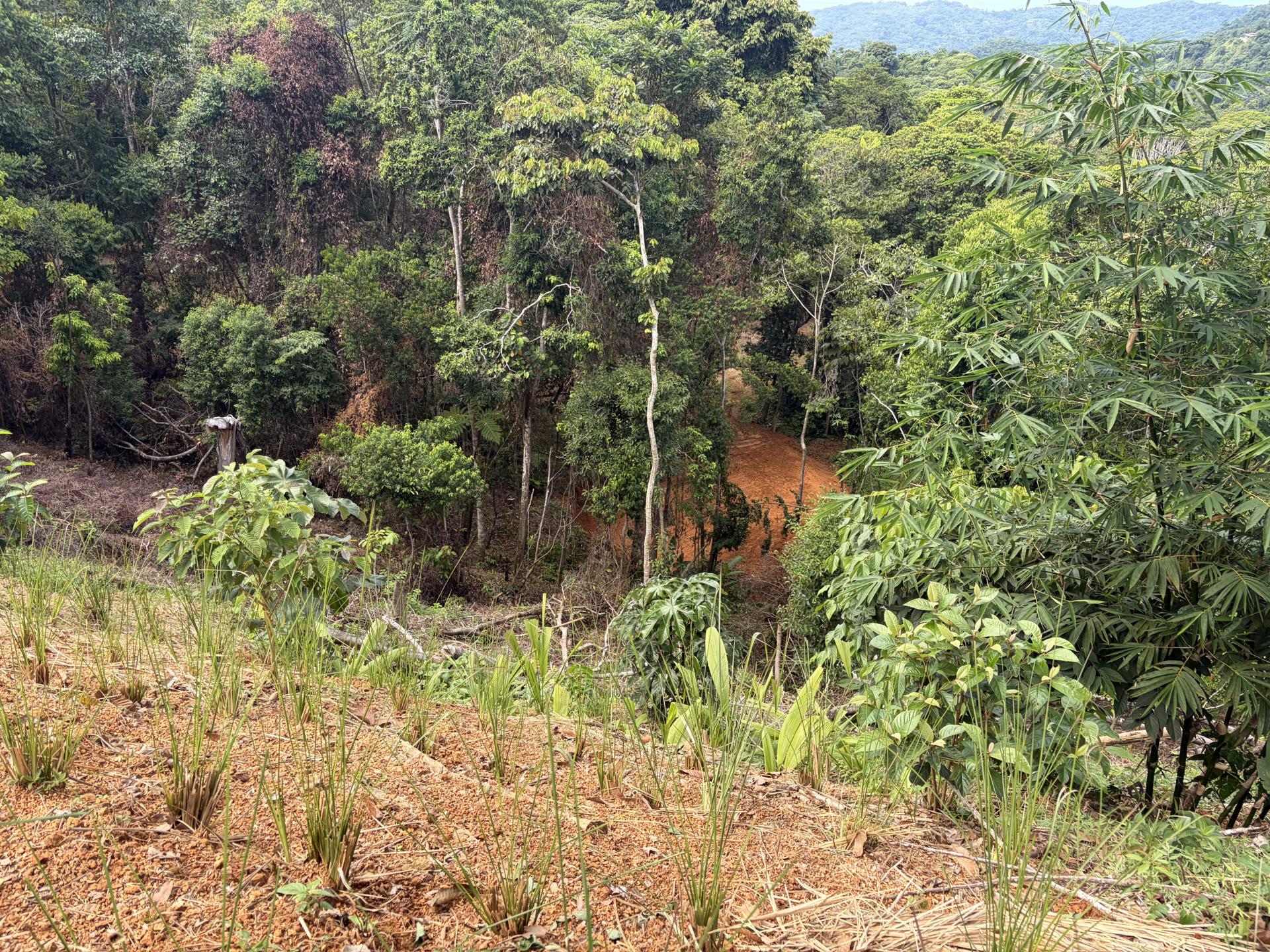 Plantel Excavation & Site Preparation – Enclave Lot B, photo 8
