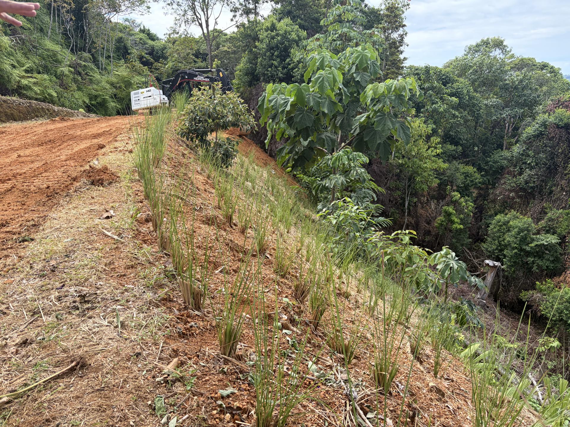 Plantel Excavation & Site Preparation – Enclave Lot B, photo 10