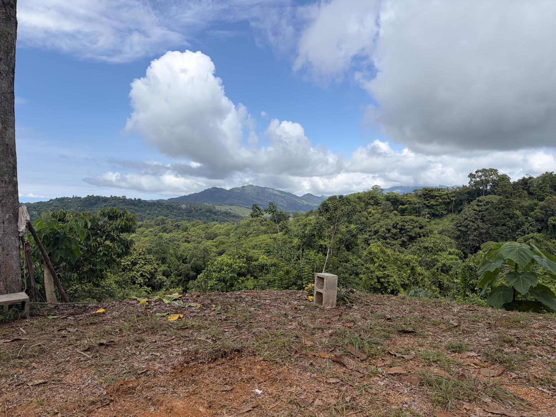 Plantel Excavation & Site Preparation – Enclave Lot B, photo 11