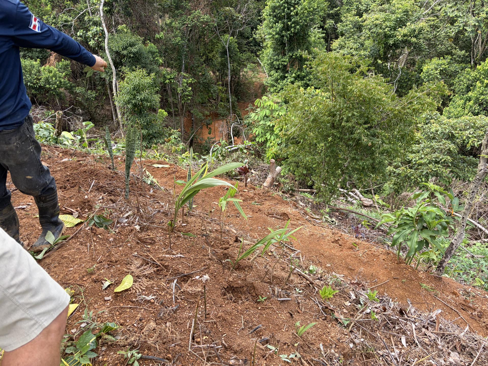 Plantel Excavation & Site Preparation – Enclave Lot B, photo 14