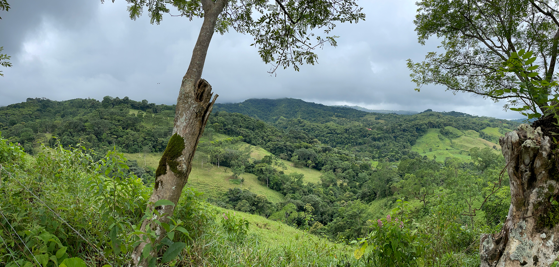 32 ACRE PROPERTY FOR SALE -PASTURES & PRIVATE JUNGLE, WATERFALLS, SWIMMING POOLS