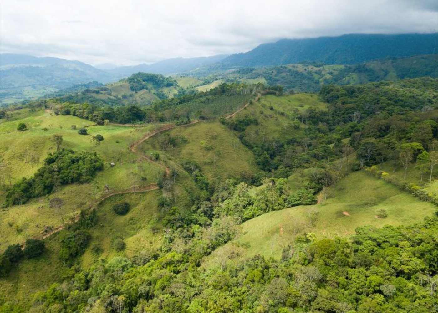32 ACRE PROPERTY FOR SALE -PASTURES & PRIVATE JUNGLE, WATERFALLS, SWIMMING POOLS, photo 3