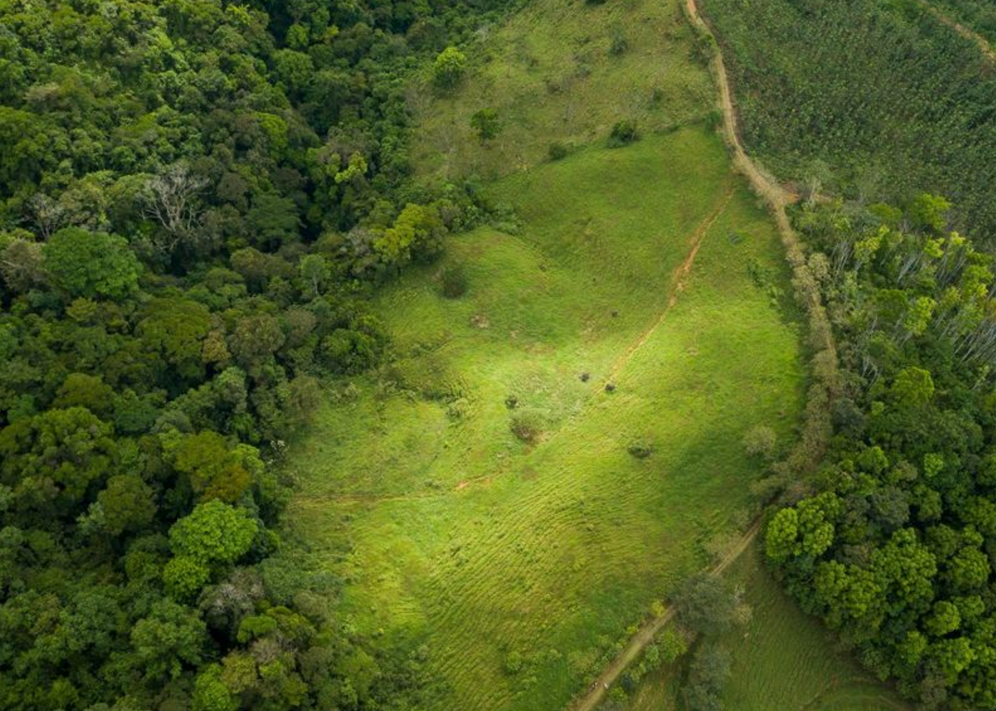 32 ACRE PROPERTY FOR SALE -PASTURES & PRIVATE JUNGLE, WATERFALLS, SWIMMING POOLS, photo 5