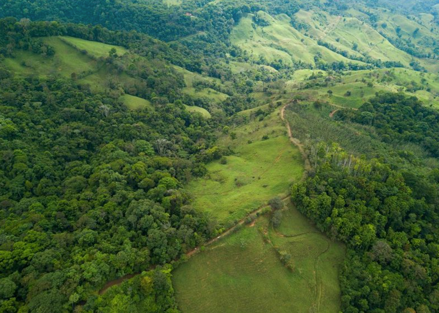 32 ACRE PROPERTY FOR SALE -PASTURES & PRIVATE JUNGLE, WATERFALLS, SWIMMING POOLS, photo 6