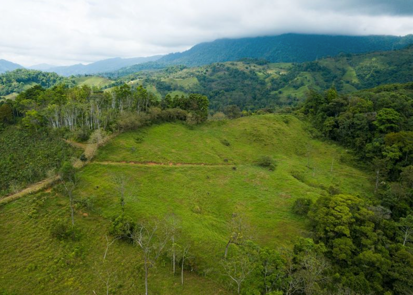32 ACRE PROPERTY FOR SALE -PASTURES & PRIVATE JUNGLE, WATERFALLS, SWIMMING POOLS, photo 7