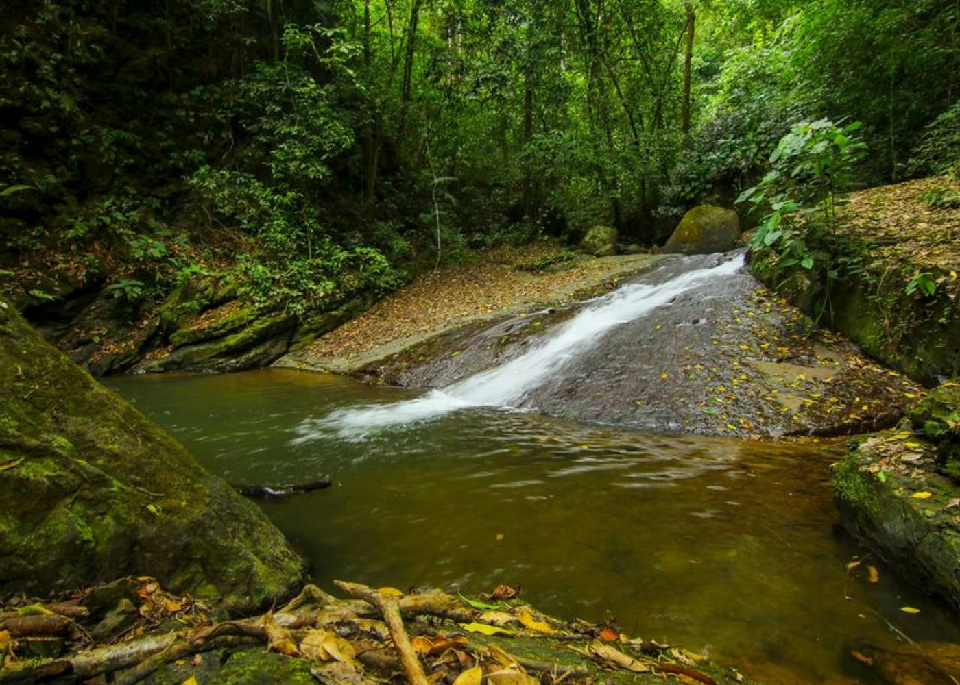32 ACRE PROPERTY FOR SALE -PASTURES & PRIVATE JUNGLE, WATERFALLS, SWIMMING POOLS, photo 9