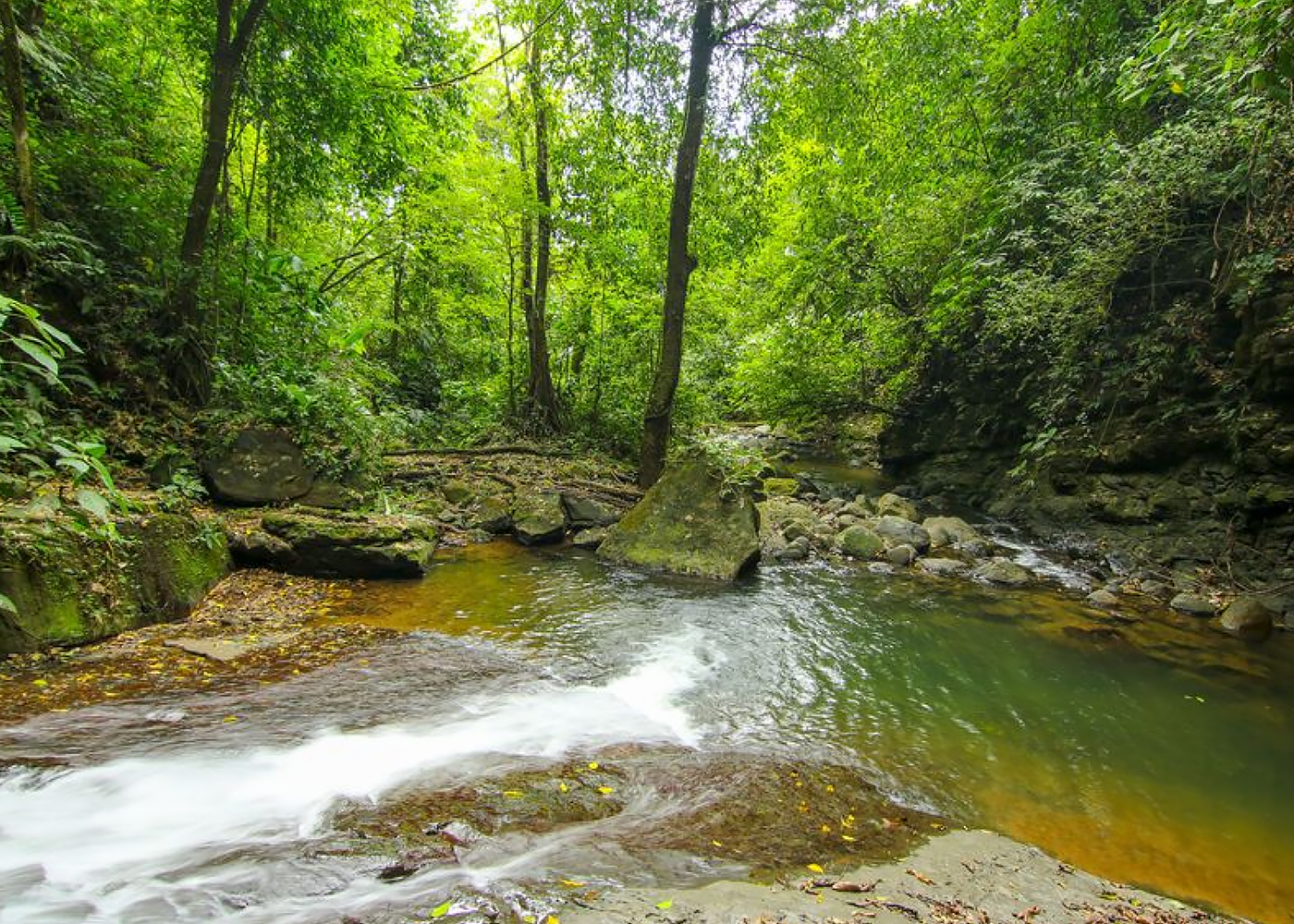 32 ACRE PROPERTY FOR SALE -PASTURES & PRIVATE JUNGLE, WATERFALLS, SWIMMING POOLS, photo 10