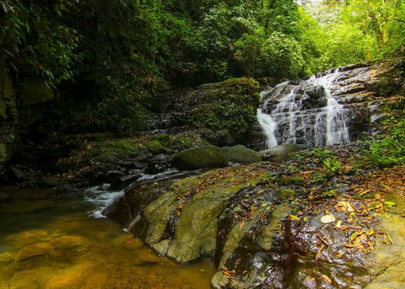 32 ACRE PROPERTY FOR SALE -PASTURES & PRIVATE JUNGLE, WATERFALLS, SWIMMING POOLS, photo 11