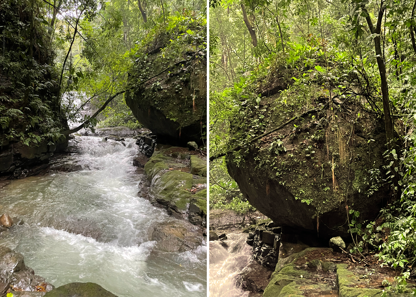 32 ACRE PROPERTY FOR SALE -PASTURES & PRIVATE JUNGLE, WATERFALLS, SWIMMING POOLS, photo 12