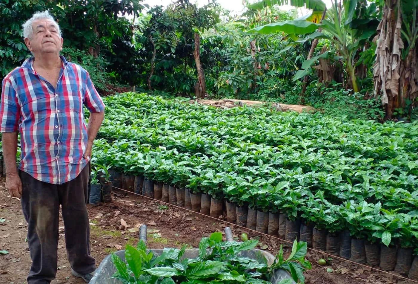100 Coffee Trees Planted –Casa Cavu