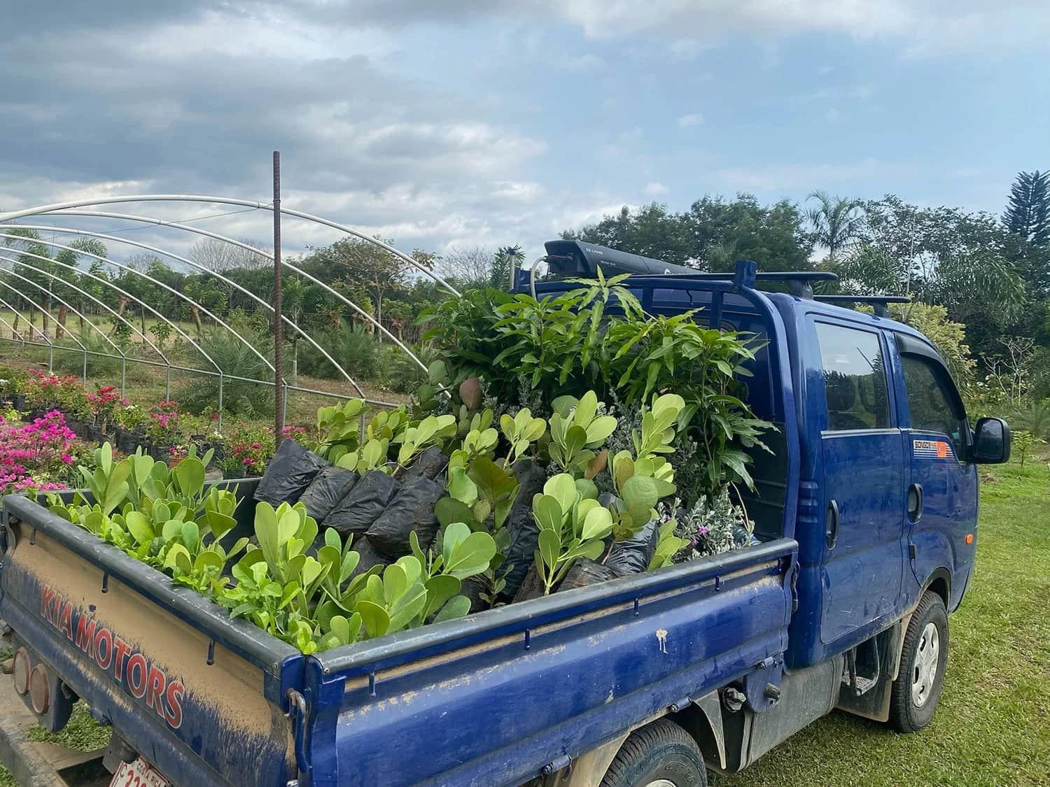 Cavu Vivero –Our New Sustainable Green House Nursery in Costa Rica