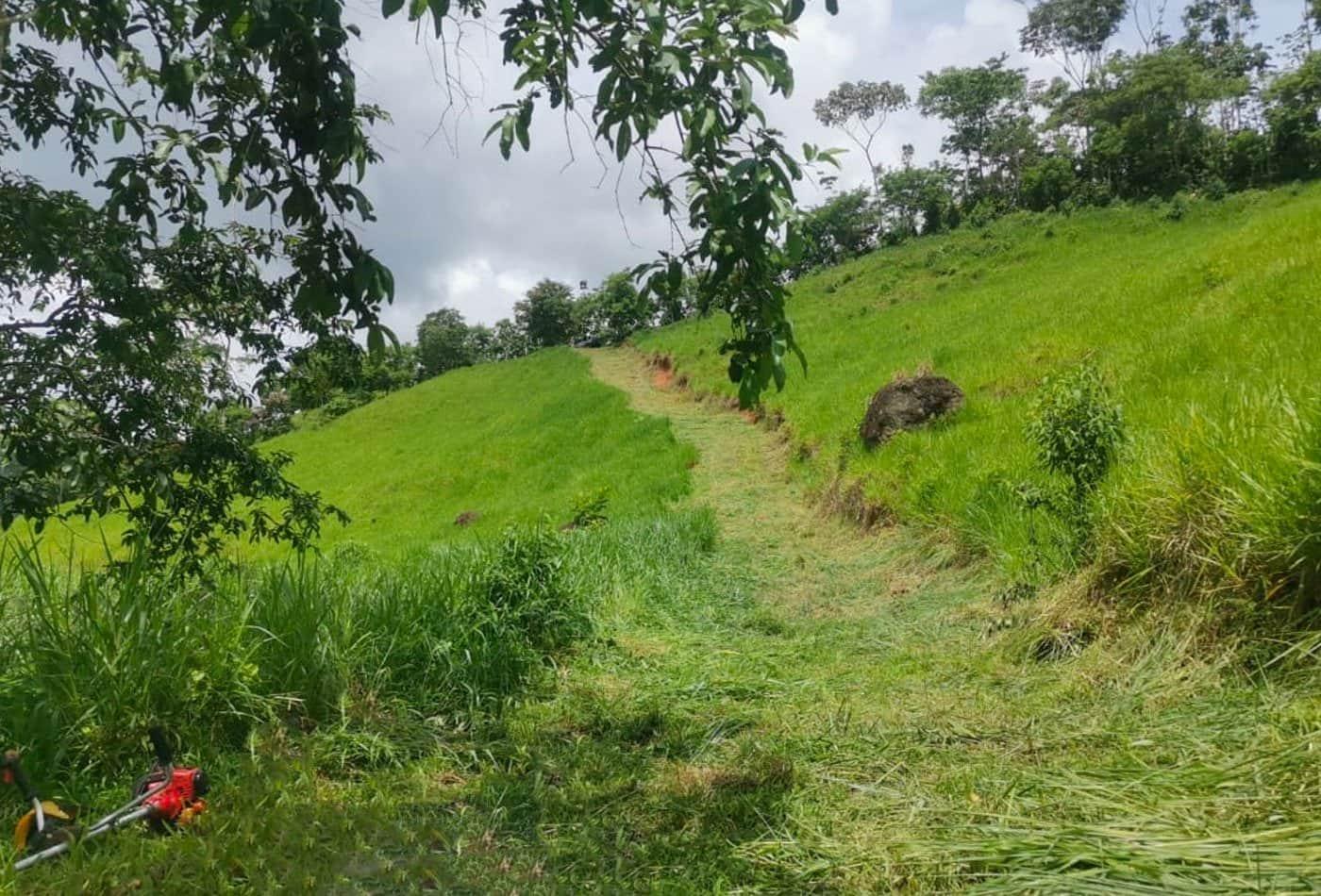 Hiking trails cut through the jungle to access swimming areas –Finca Magnolia