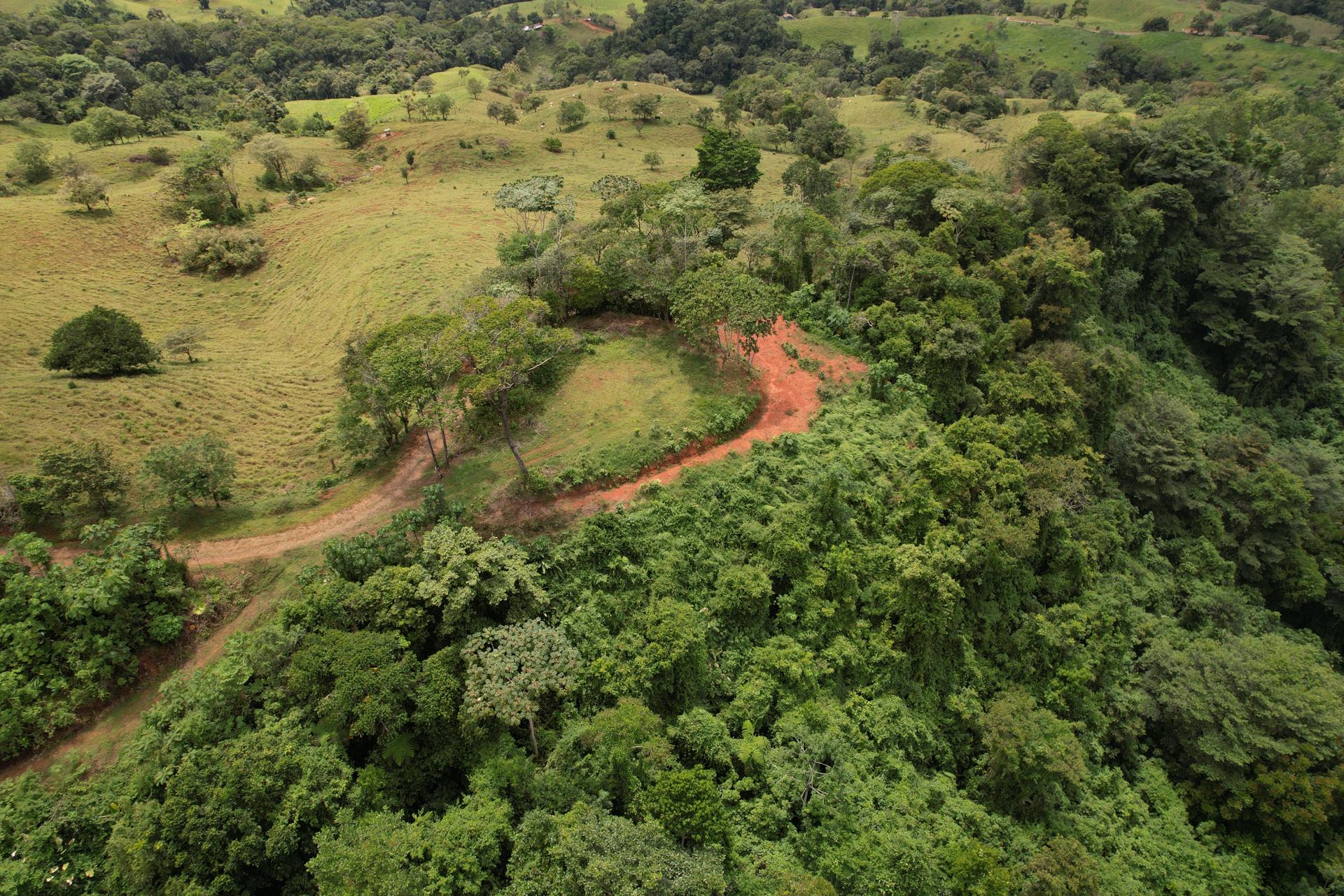 Land Clearing and Plantel Development at Finca Los Toritos — Opening Up Sweeping Ridge Views