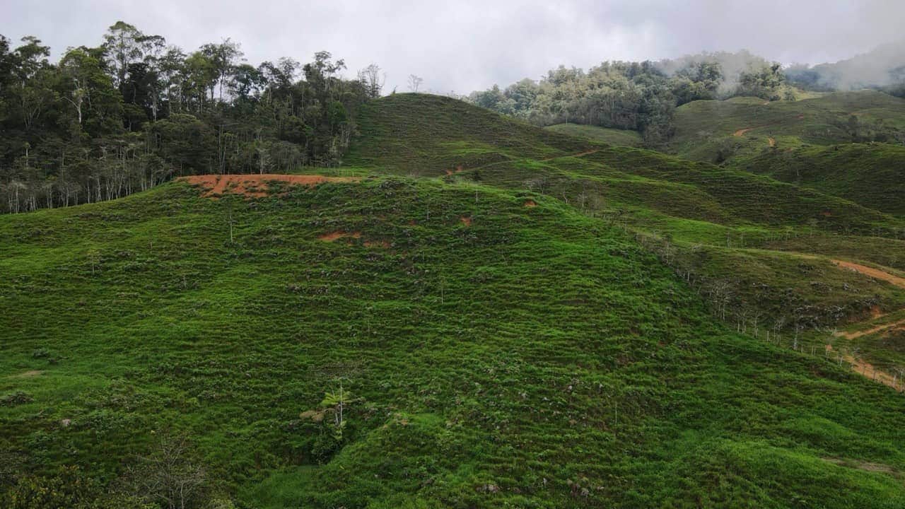 148 Acres of Mountain Serenity in Valencia property photo 4 in Costa Rica