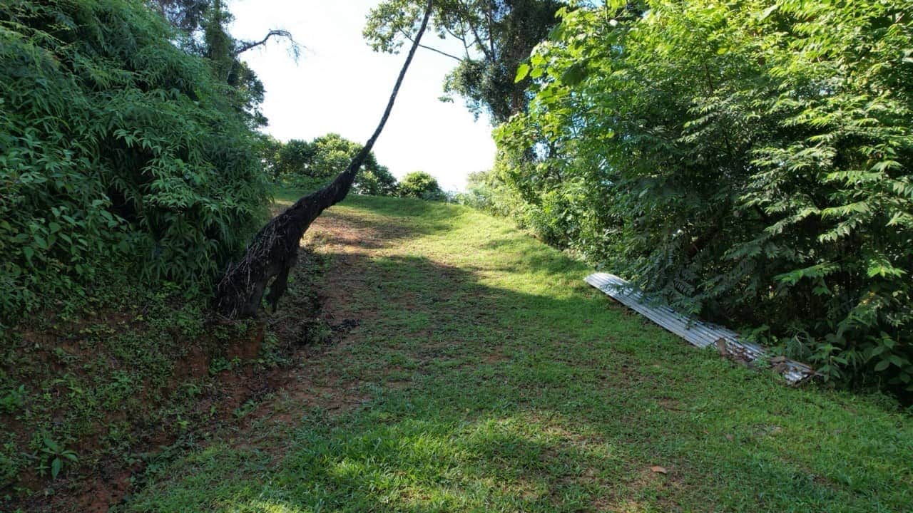 6 Acres 3 Building Sites Subdividable in Platanillo property photo 2 in Costa Rica