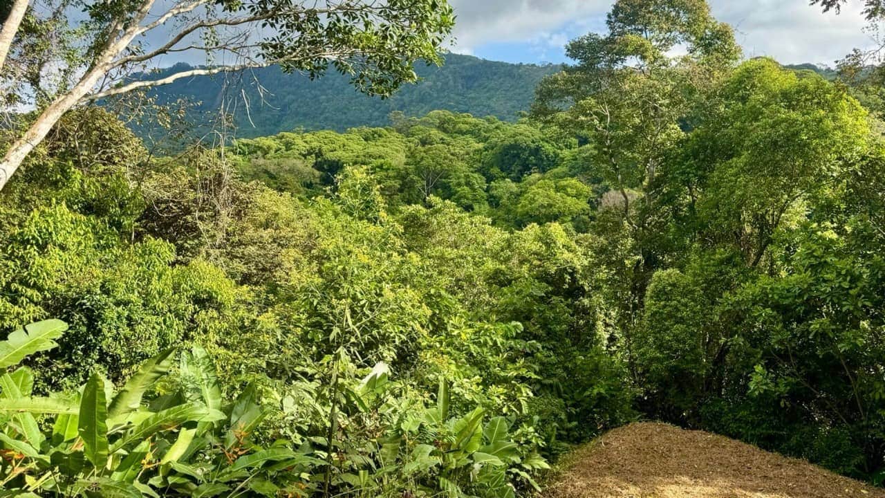 8.95 Acres Prime Location with Waterfall & River in Dominical property photo 5 in Costa Rica