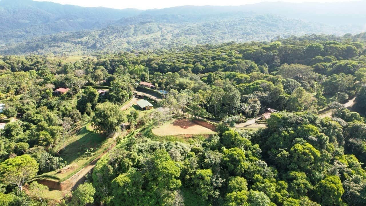 Prime 2 Acre Ocean View Lot in Platanillo Ready to Build property photo 4 in Costa Rica