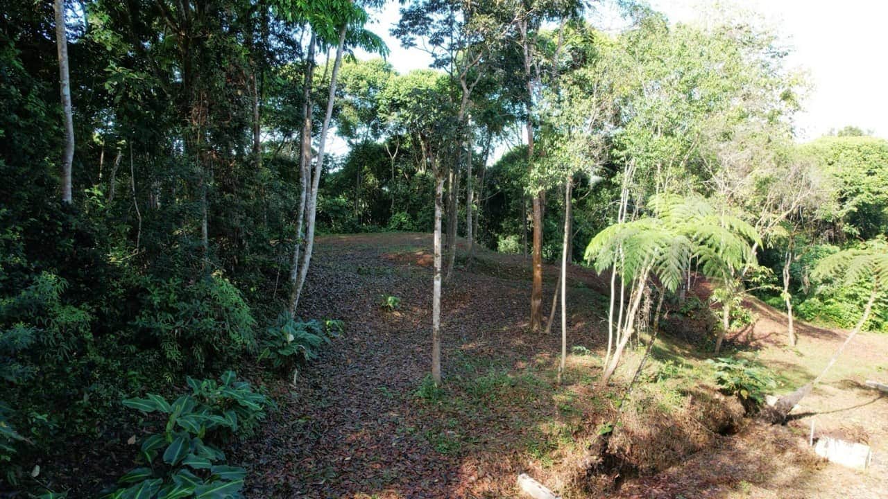Private 4.25 Acre Jungle Lot in Platanillo Ready to Build property photo 4 in Costa Rica
