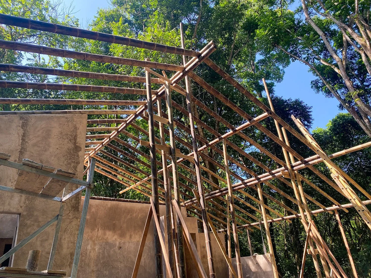 Bohorica Home Build: Black Bamboo Roof, photo 13
