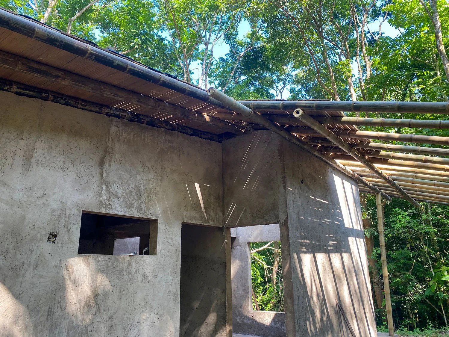 Bohorica Home Build: Black Bamboo Roof, photo 16