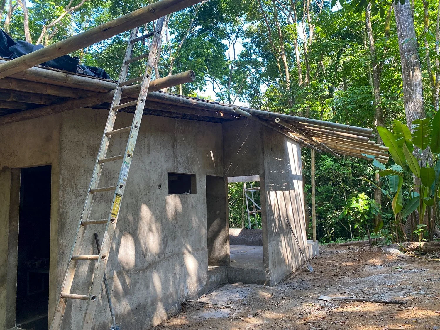 Bohorica Home Build: Black Bamboo Roof, photo 18
