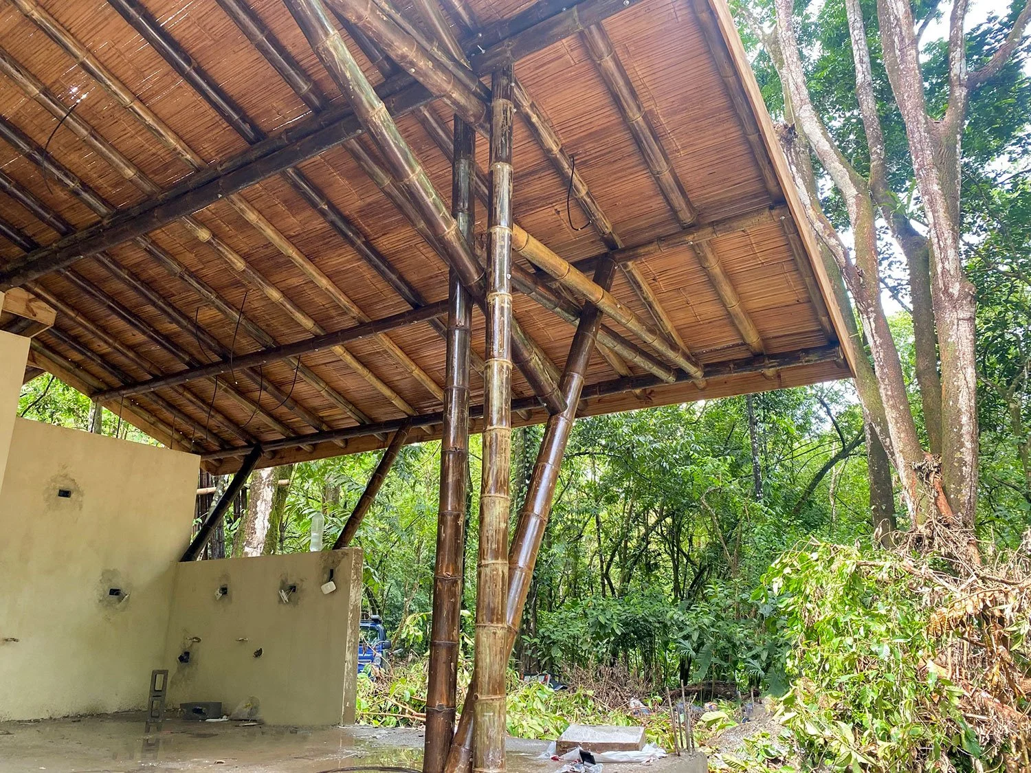 Bohorica Home Build: Black Bamboo Roof, photo 26