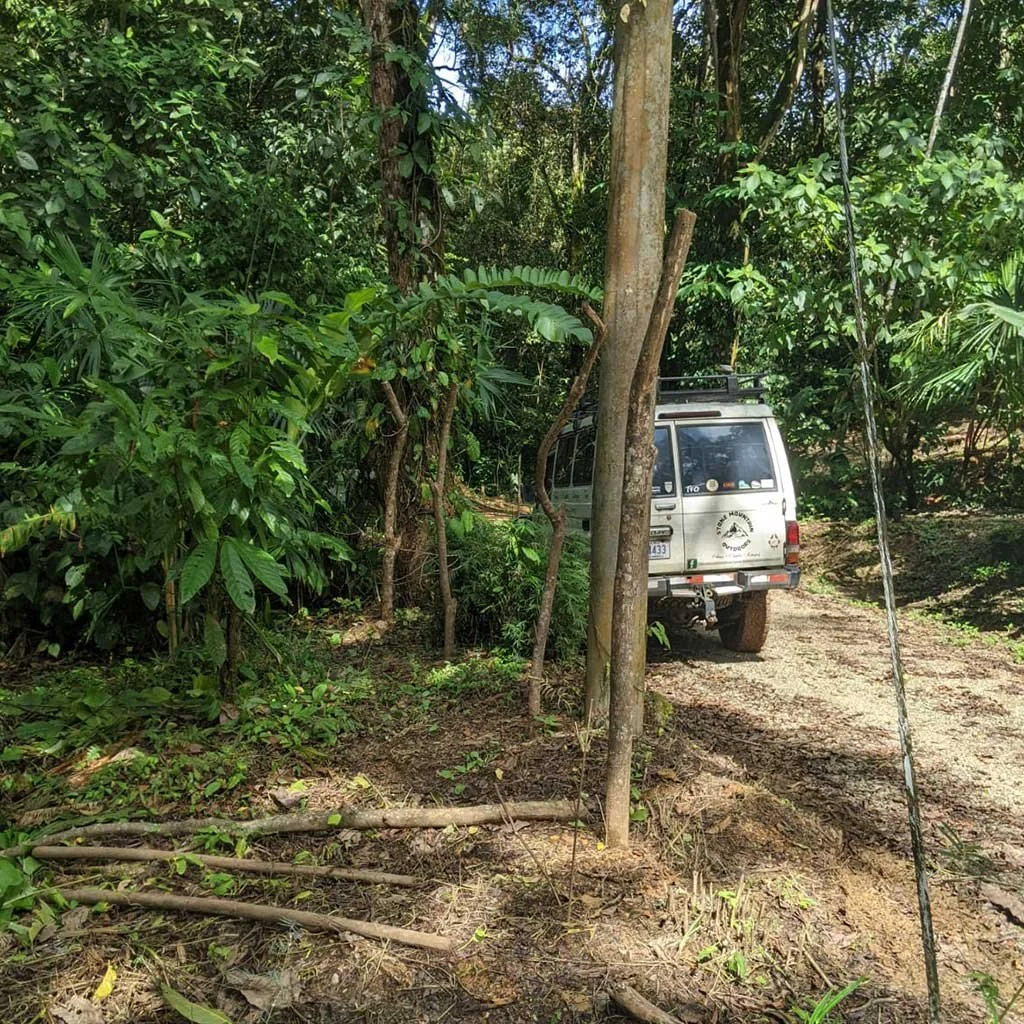 Living fence planted along road frontage and entrance –BOHORICA, photo 5