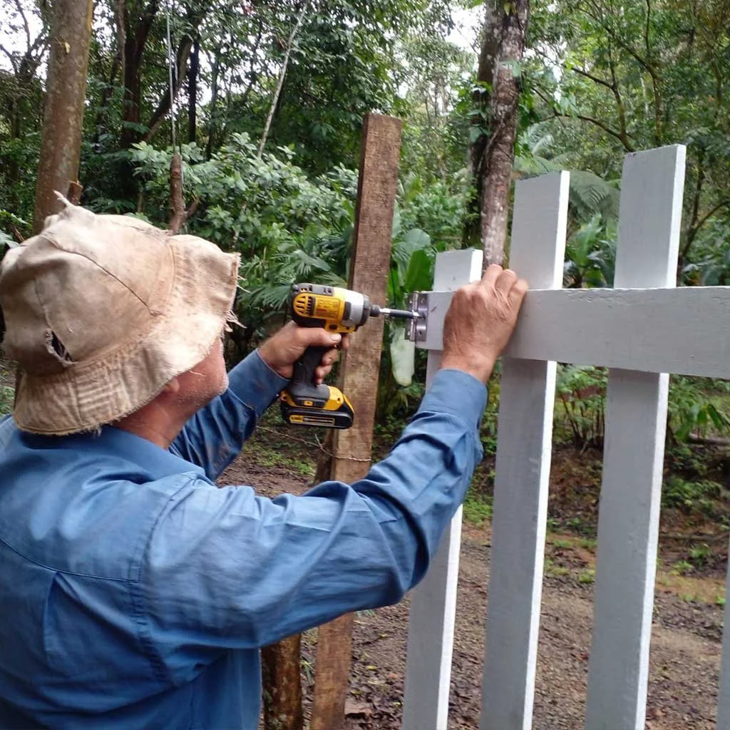 Living fence planted along road frontage and entrance –BOHORICA, photo 9