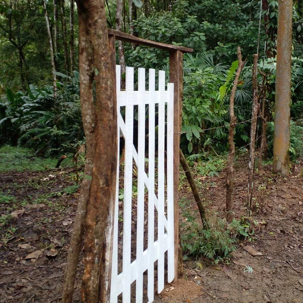 Living fence planted along road frontage and entrance –BOHORICA, photo 10
