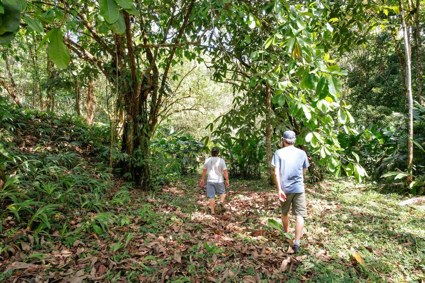 Bohorica Private Estate Home Building Project Overview Near Dominical, Costa Rica, photo 4