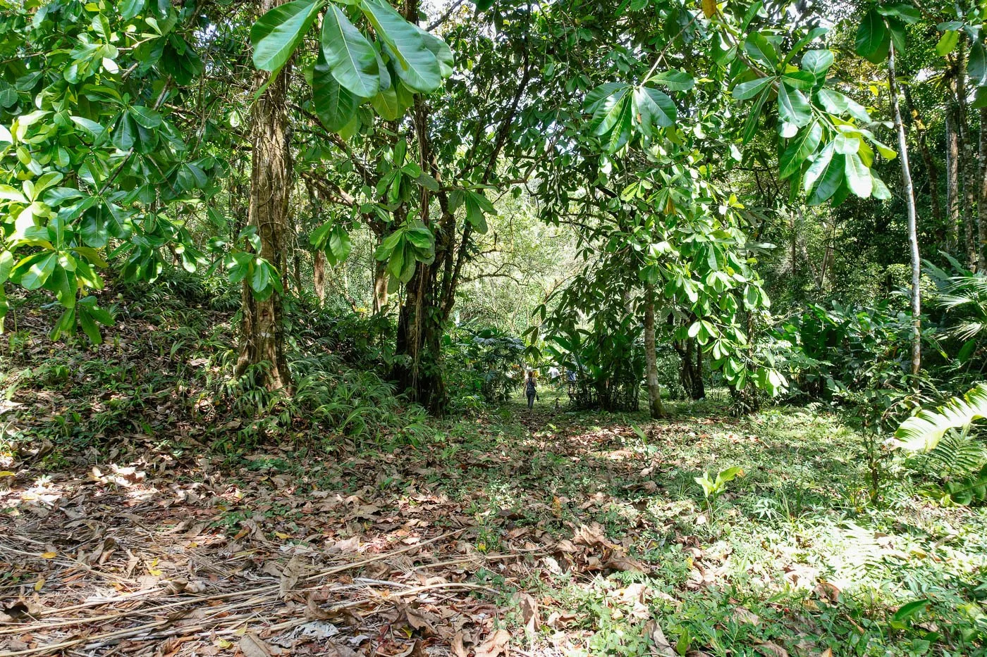 Bohorica Private Estate Home Building Project Overview Near Dominical, Costa Rica, photo 5