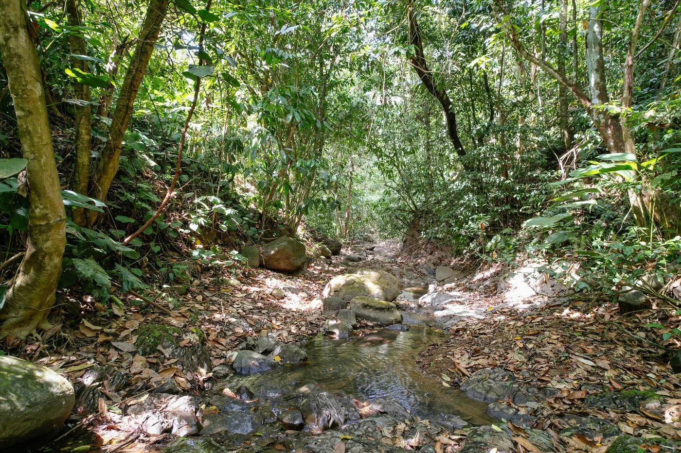 Bohorica Private Estate Home Building Project Overview Near Dominical, Costa Rica, photo 7