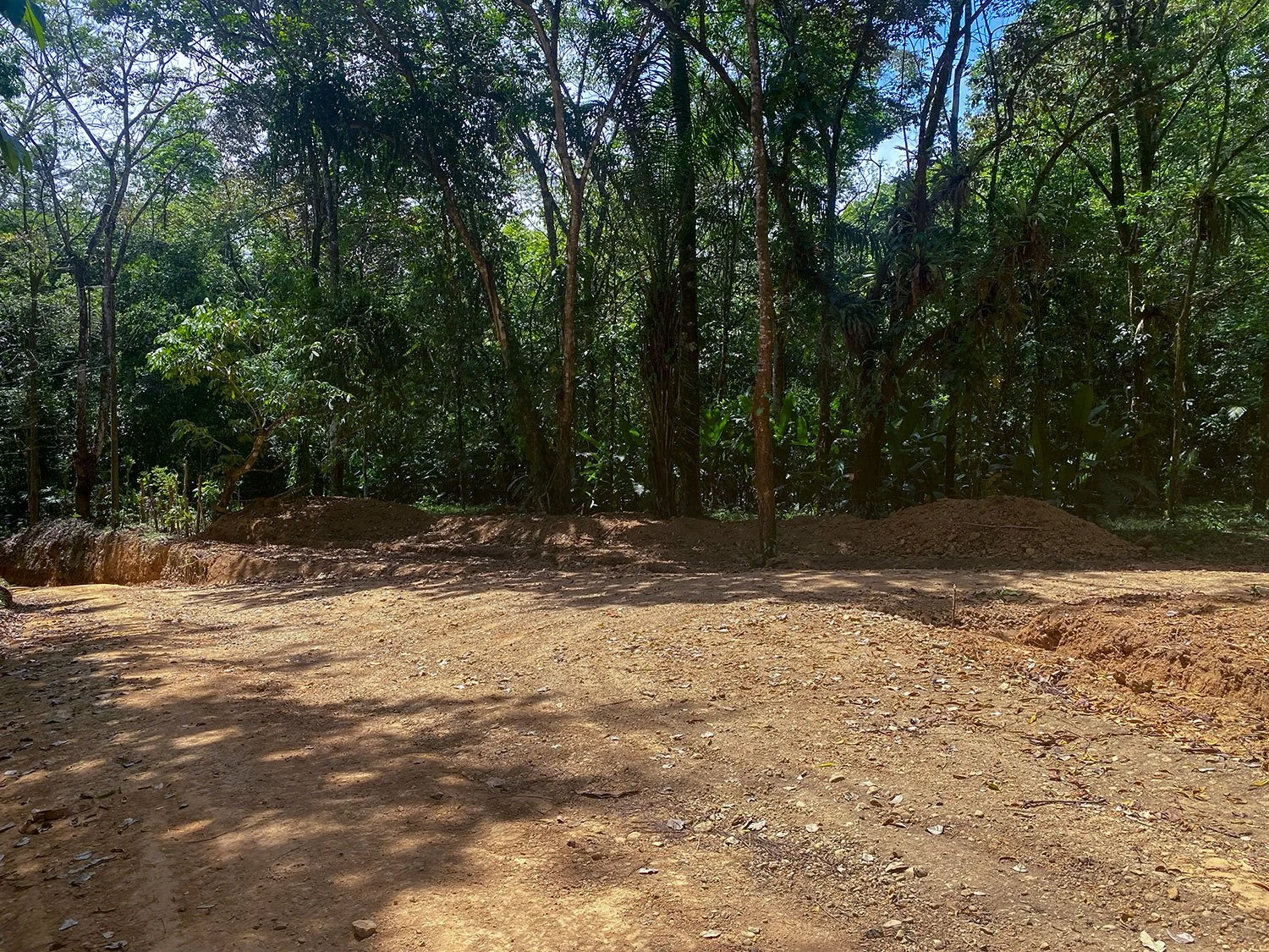 Land clearing and site prep underway at Casa Bohorica, photo 8