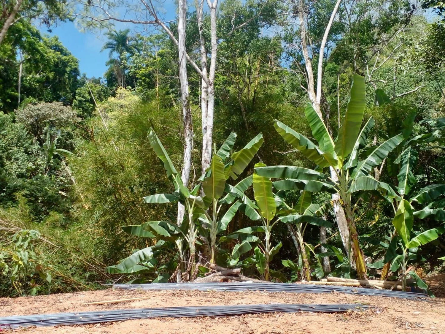 Building the Infinity Pool Foundation at Casa Cavu, photo 2
