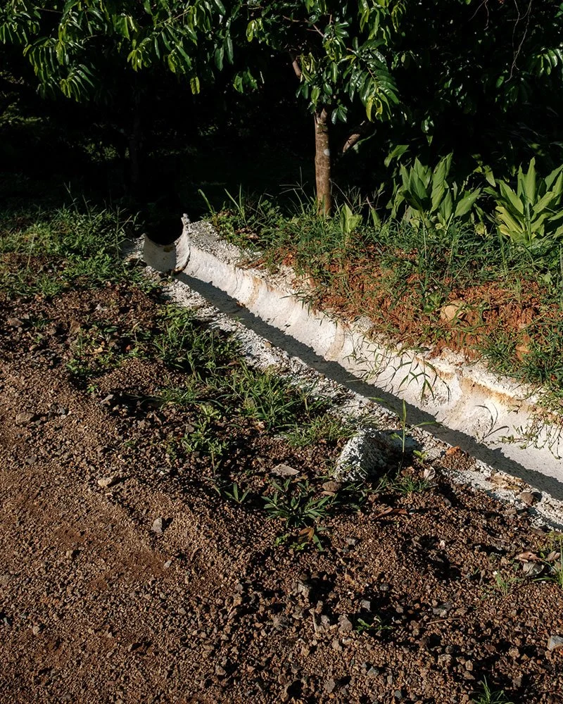 Road Improvement, Drainage & Power Lines Installed – Casa Cavu, photo 6