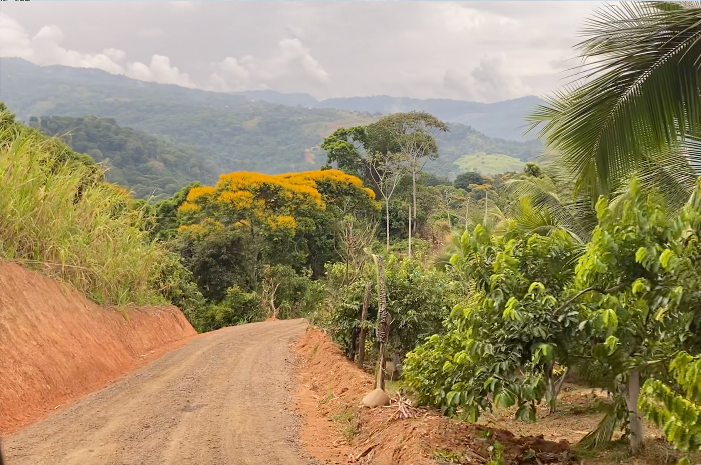 Road Improvement, Drainage & Power Lines Installed – Casa Cavu, photo 3