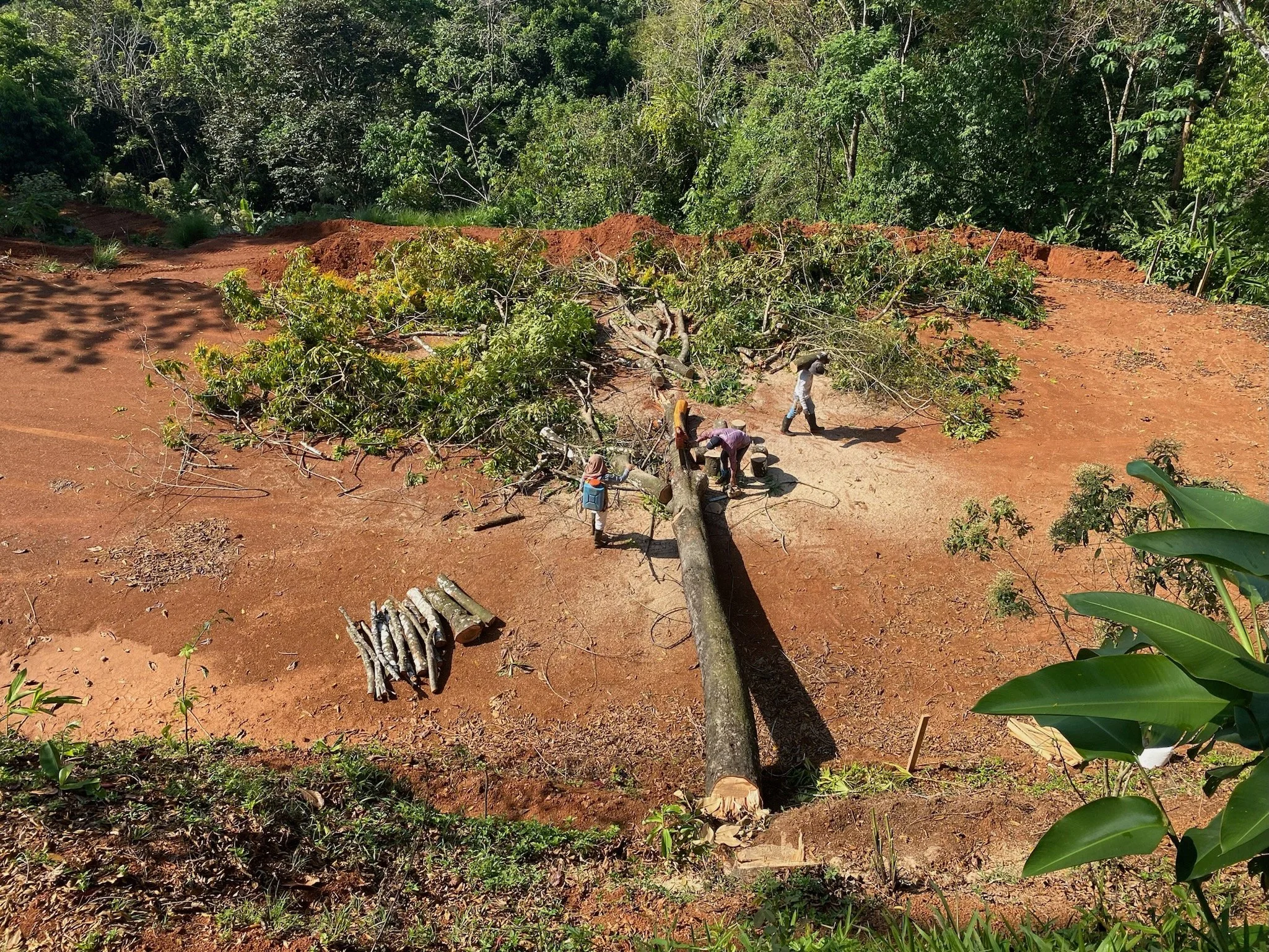 Site work and land development begins at Casa Cavu, photo 9