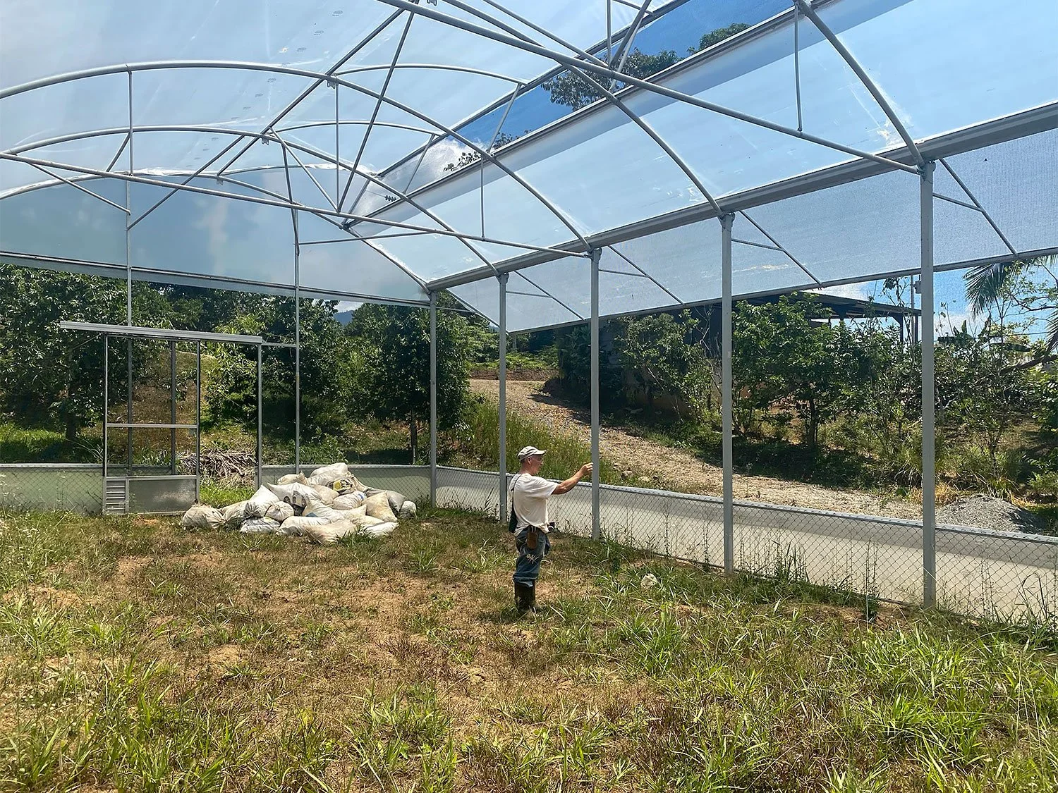 Cavu Vivero –Our New Sustainable Green House Nursery in Costa Rica, photo 3