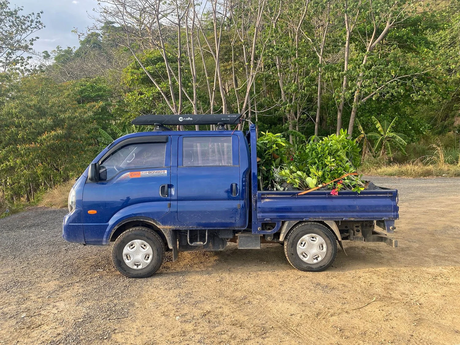 Cavu Vivero –Our New Sustainable Green House Nursery in Costa Rica, photo 4