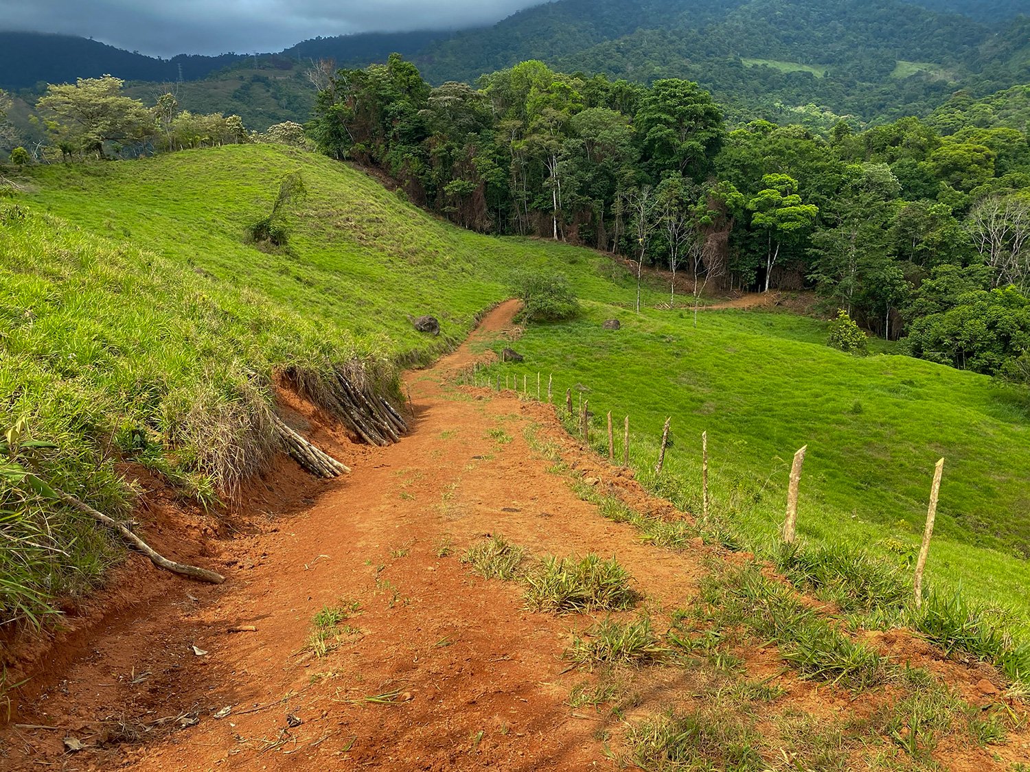 Cattle Grazing and Fencing system added at Finca Magnolia to prevent erosion, photo 2