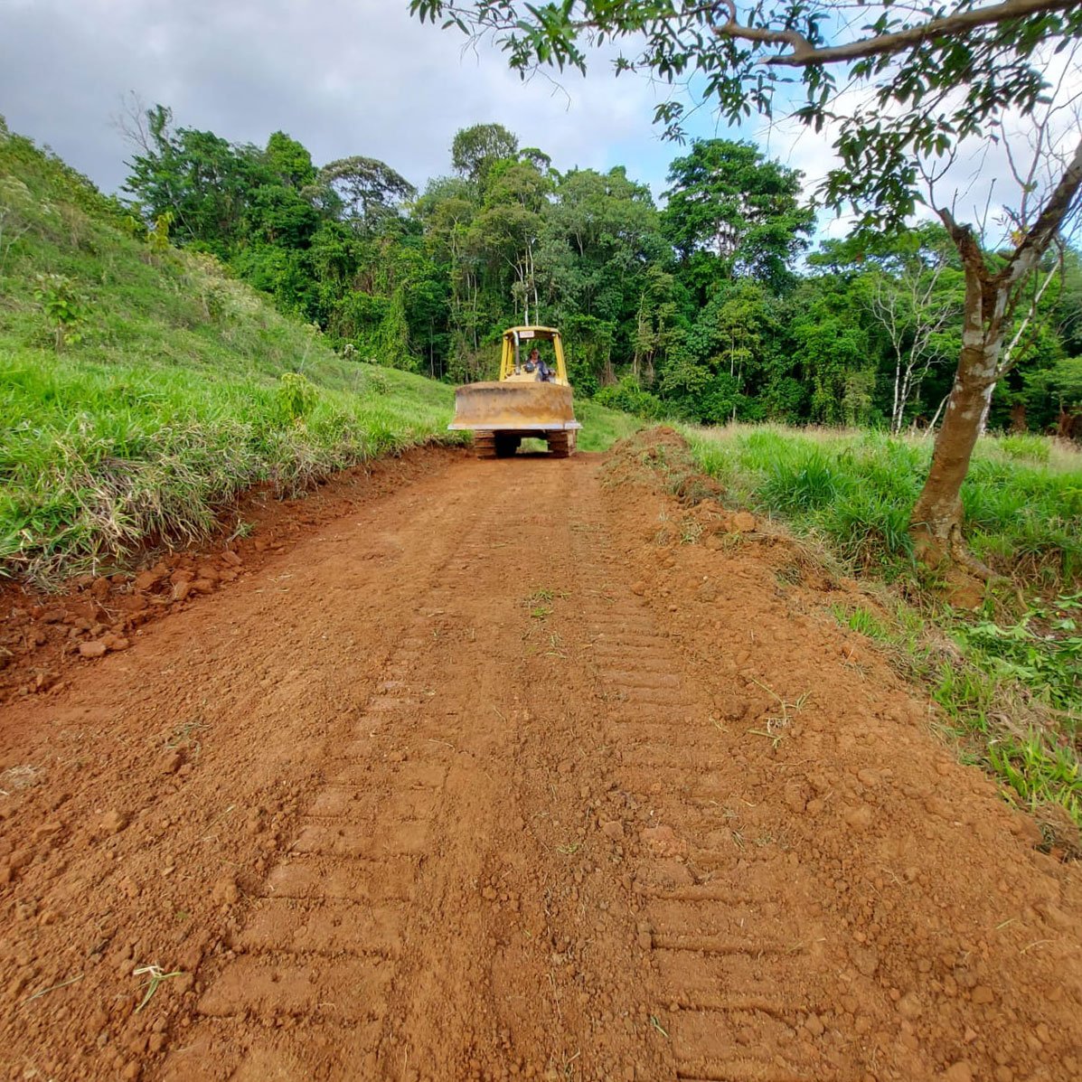 Cutting in a new internal road for improved access –Finca Magnolia, photo 5