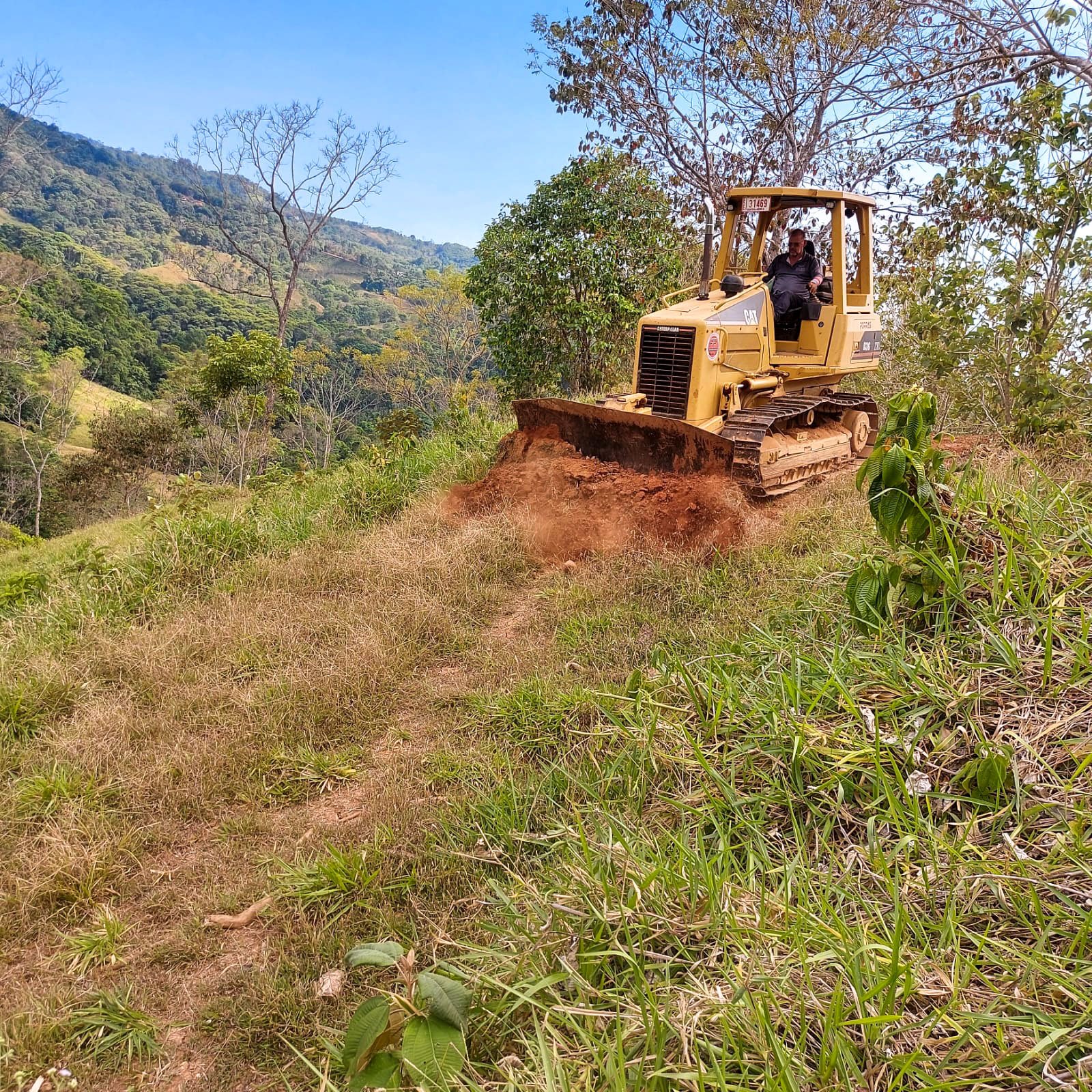 Cutting in a new internal road for improved access –Finca Magnolia, photo 6
