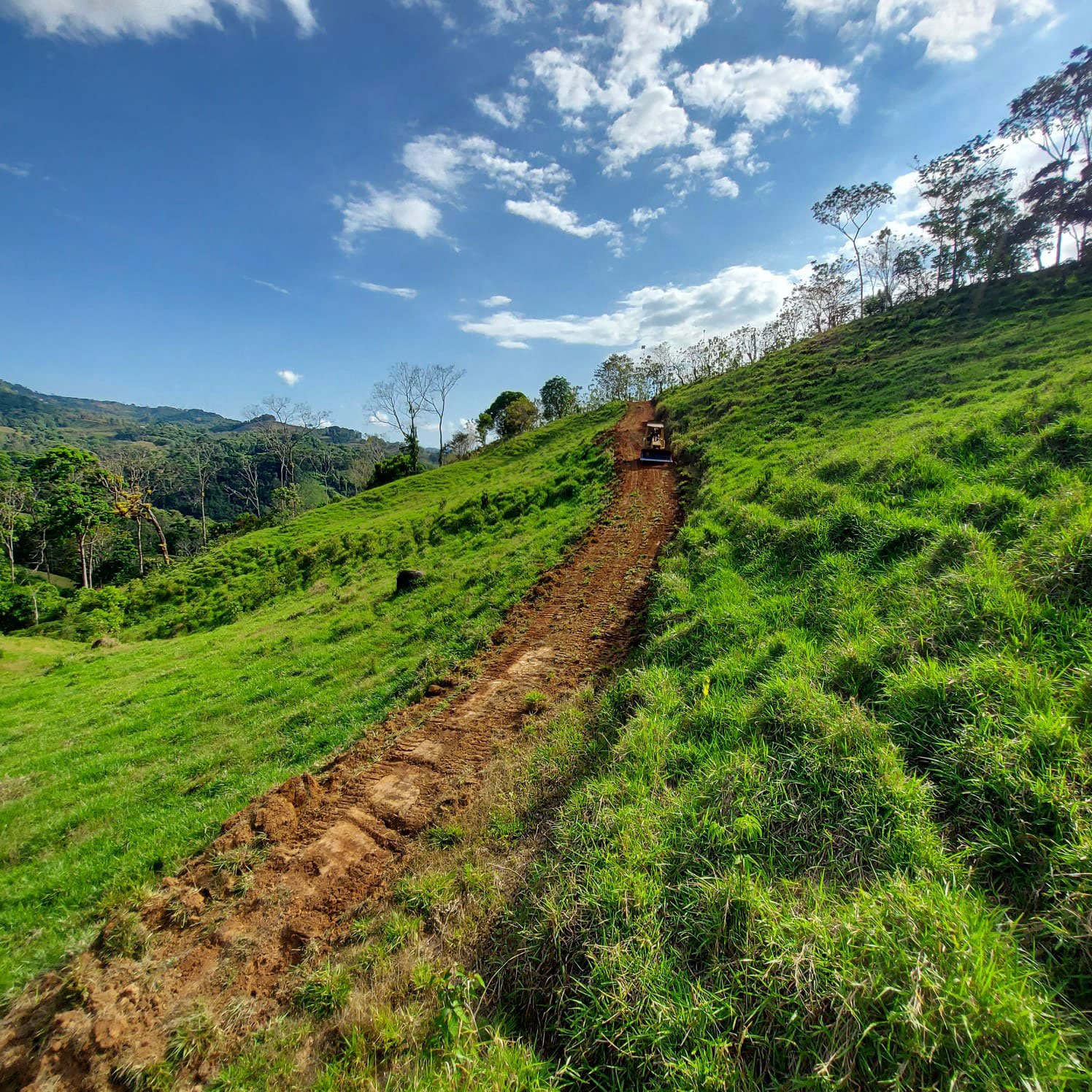 Cutting in a new internal road for improved access –Finca Magnolia, photo 2