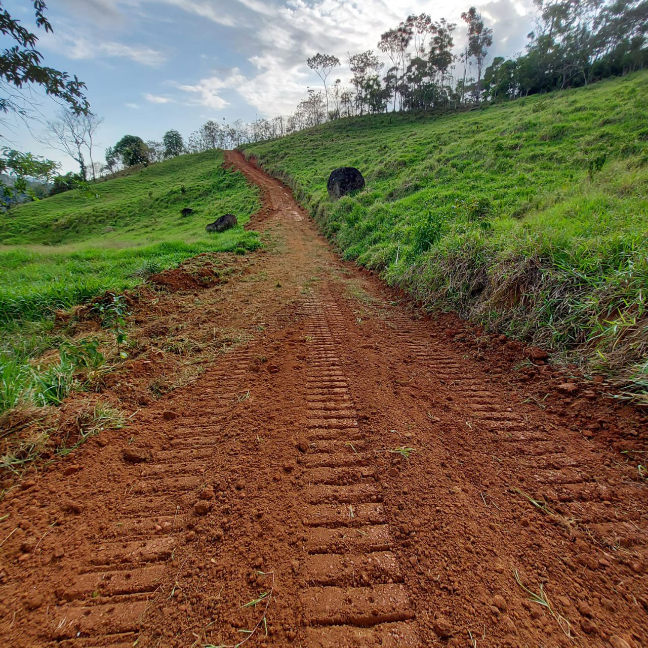 Cutting in a new internal road for improved access –Finca Magnolia, photo 8