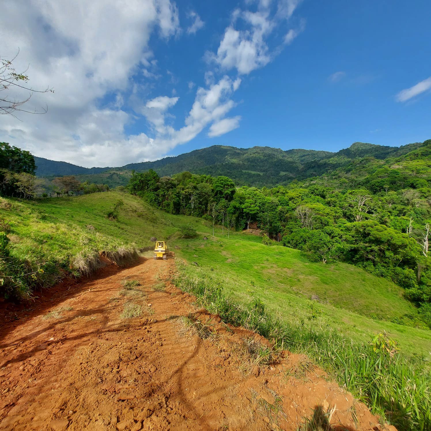 Cutting in a new internal road for improved access –Finca Magnolia, photo 4