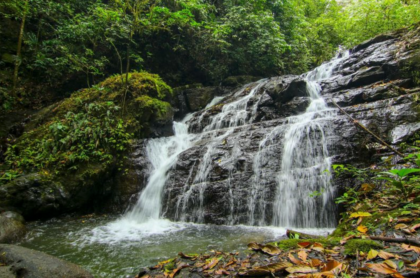 Hiking trails cut through the jungle to access swimming areas –Finca Magnolia, photo 5