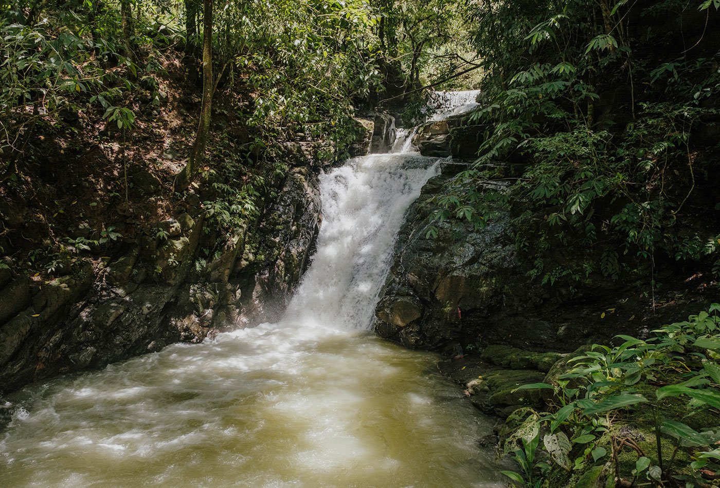 Hiking trails cut through the jungle to access swimming areas –Finca Magnolia, photo 7